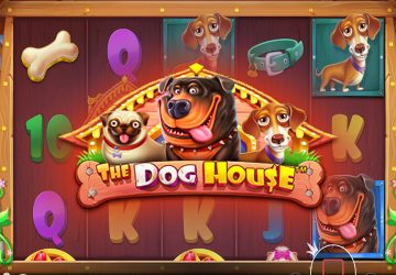 Microgaming - игровой автомат онлайн от Various с RTP 96.35%
